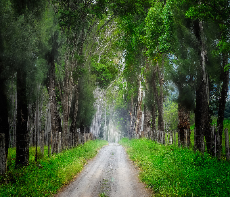 What are you smoking Jimmy